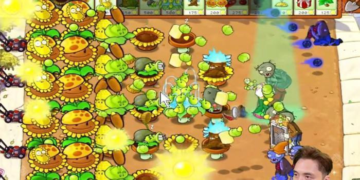 《植物大战僵尸杂交版》冒险模式第29关通关攻略5