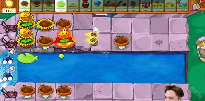 《植物大战僵尸杂交版》冒险模式第33关通关攻略2