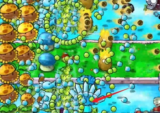 《植物大战僵尸杂交版》冒险模式第15关通关攻略4