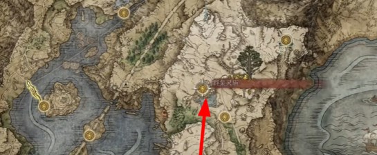 《艾尔登法环黄金树幽影》指痕葡萄获得方法4