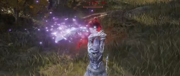 《艾尔登法环黄金树幽影》指痕葡萄获得方法7