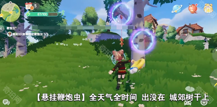 《心动小镇》新春鞭炮虫捕捉位置一览2