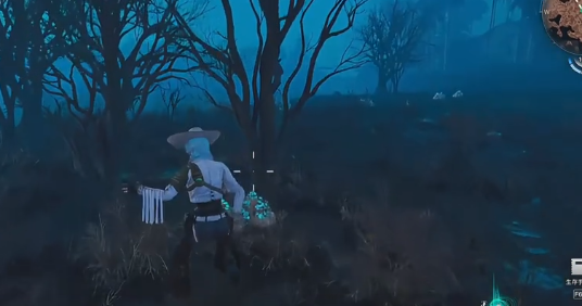 七日世界宁静帷幔怎么使用4