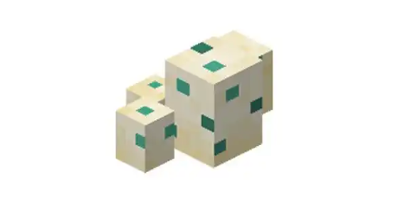 我的世界海龟蛋怎么采集_我的世界海龟蛋采集器怎么做