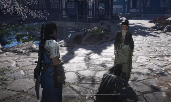 燕云十六声一药千金任务怎么做10