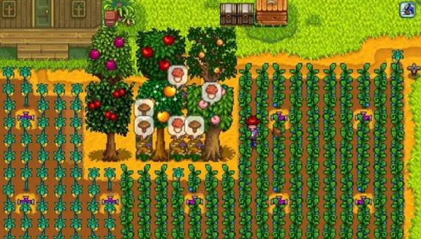 星露谷物语蘑菇树桩流怎么玩2