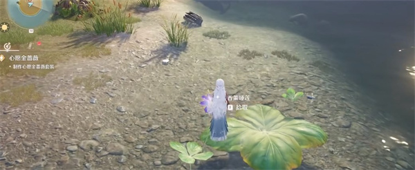 无限暖暖香薰睡莲在哪3