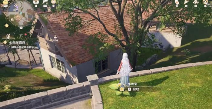 无限暖暖小棉菊在哪3