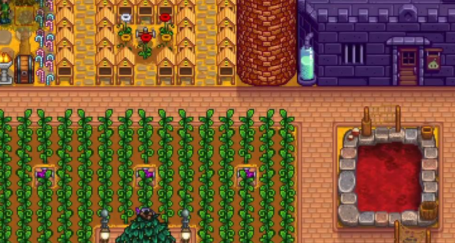 星露谷物语考古发现任务怎么做1