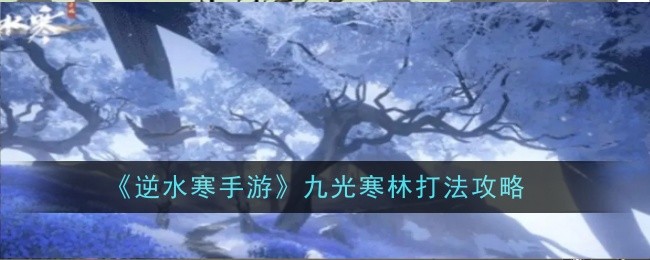 逆水寒手游九光寒林打法是什么1