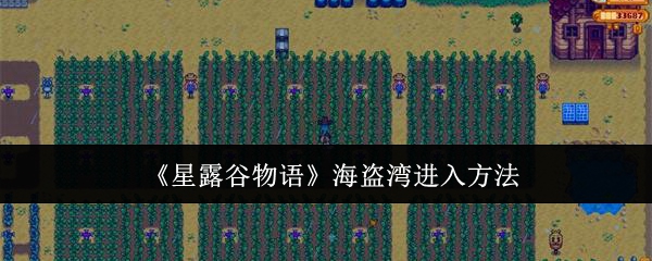 星露谷物语海盗湾怎么进入_星露谷物语海盗船