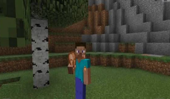 我的世界鸡吃什么1