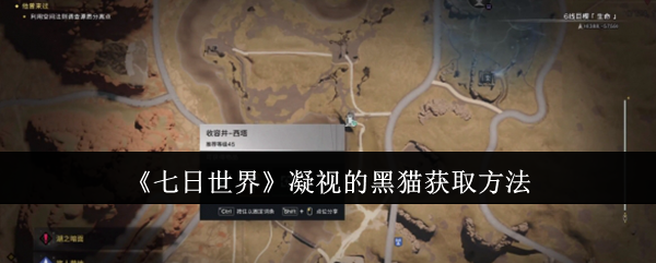 七日世界凝视的黑猫怎么获取_七日世界凝视的黑猫怎么获得