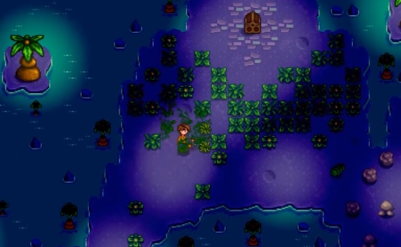 星露谷物语女巫小屋位置在哪3