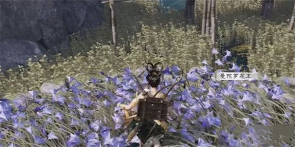 燕云十六声纸人夭奇遇怎么做4