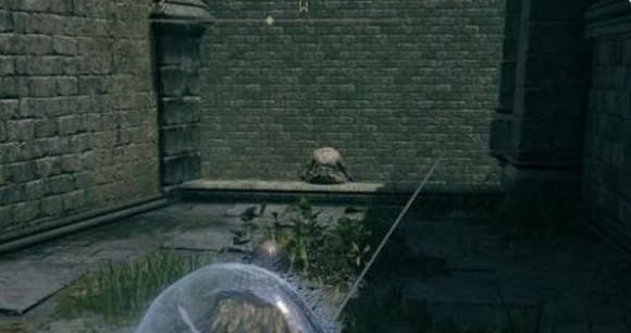 艾尔登法环地下希芙拉河狼哥在哪_艾尔登法环希芙拉河全收集