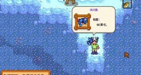 星露谷物语冬天鱼王去哪钓1