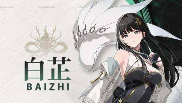 鸣潮白芷声骸怎么选择1