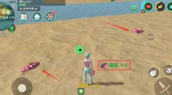 创造与魔法小贝壳在哪里_创造与魔法饲料大全