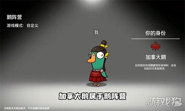 鹅鸭杀加拿大鹅是干嘛的1