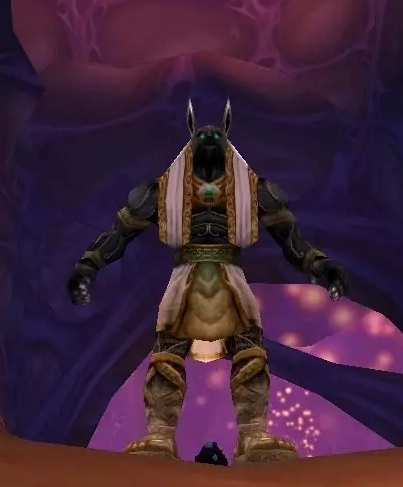 《魔兽世界》怀旧服阿努比萨斯防御者掉落物品一览1