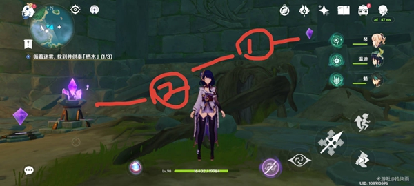 原神知比山神树怎么解密2