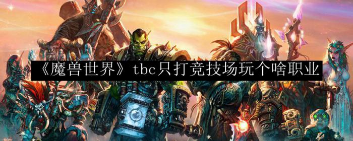 《魔兽世界》tbc只打竞技场玩个啥职业1