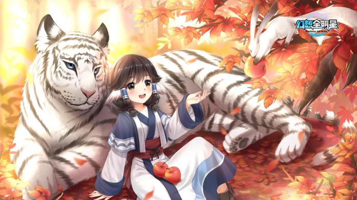 《幻想全明星》掉帧问题解决办法1