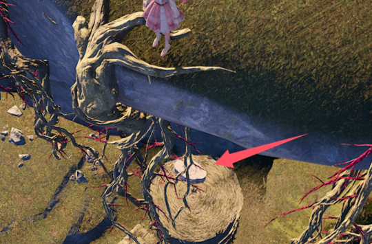 无限暖暖石之冠收集点29