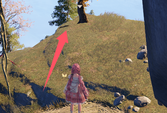 无限暖暖石之冠收集点30