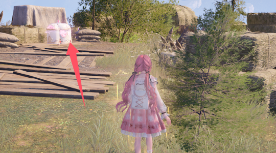 无限暖暖石之冠收集点142