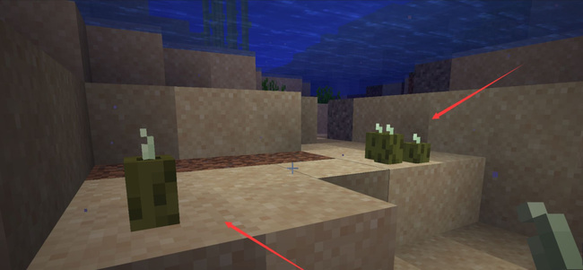 我的世界海泡菜怎么繁殖4