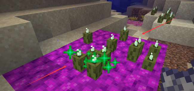 我的世界海泡菜怎么繁殖5