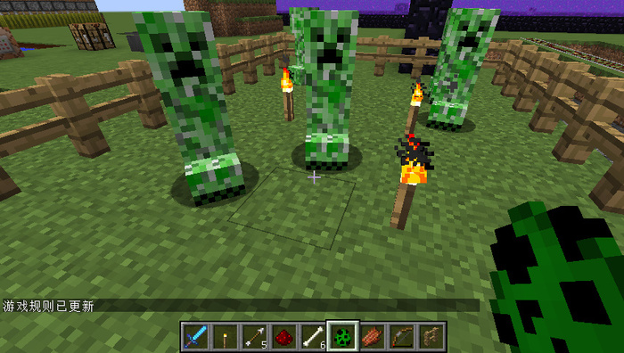 《我的世界》保护地形的方法2