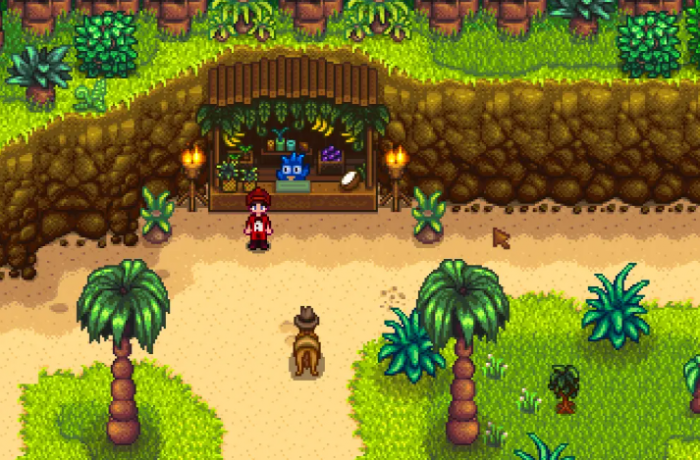 星露谷物语芒果怎么获得1