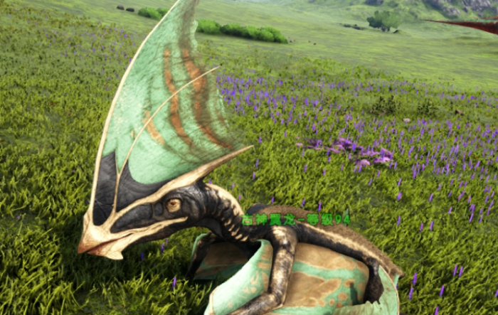 方舟生存进化飞行坐骑用什么2