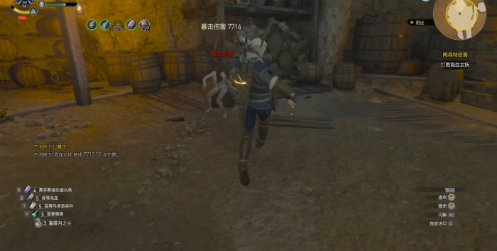 巫师3吸血女妖怎么打3