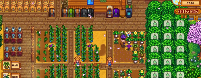 星露谷物语觅食技能萌新如何点3