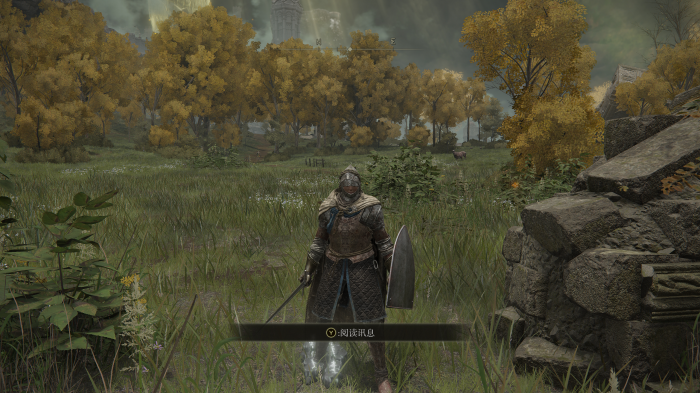 艾尔登法环电脑配置不够怎么办3