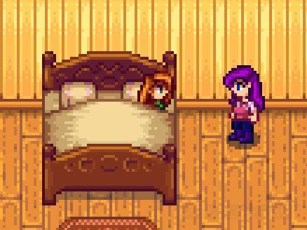 星露谷物语两个玩家怎么生孩子3