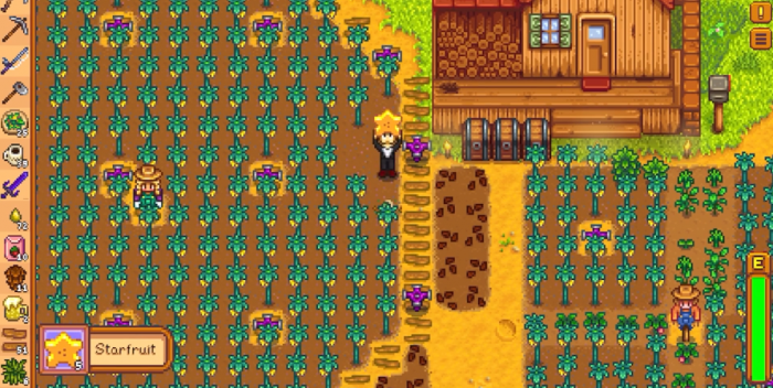 星露谷物语第二年夏天种什么1