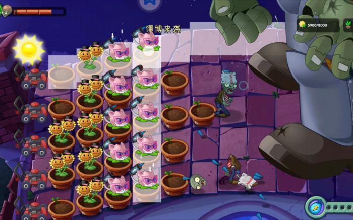 植物大战僵尸22