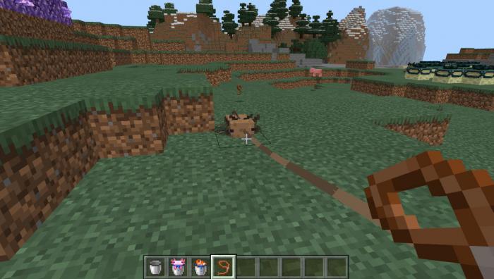 我的世界美西螈有什么用2