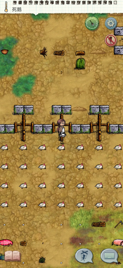 希望之村怎么养鹅1