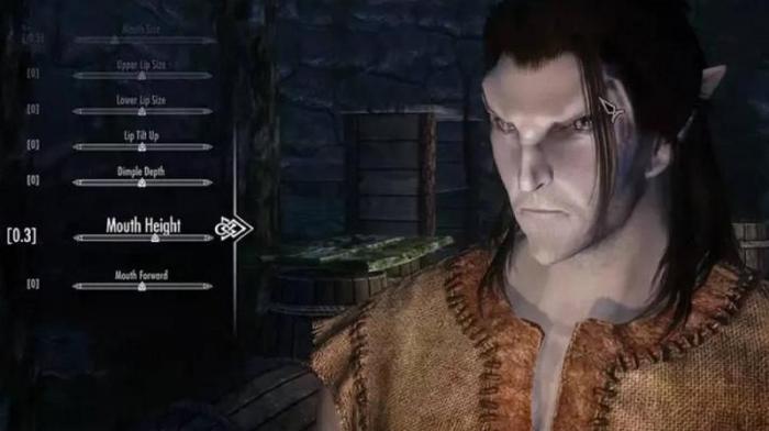 上古卷轴精灵箭要去哪儿买_上古卷轴5天际精灵箭代码