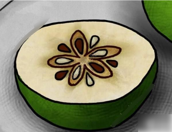 迷失岛4小屋实验二周目攻略2