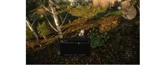 巫师3燕子魔药怎么做1