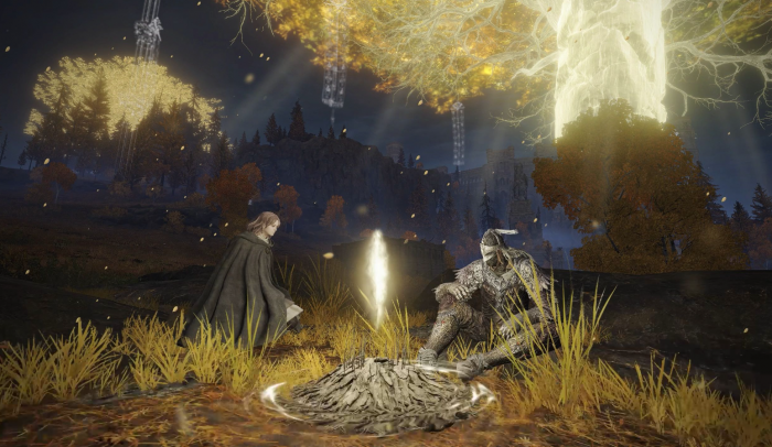 艾尔登法环动态地图怎么打开3