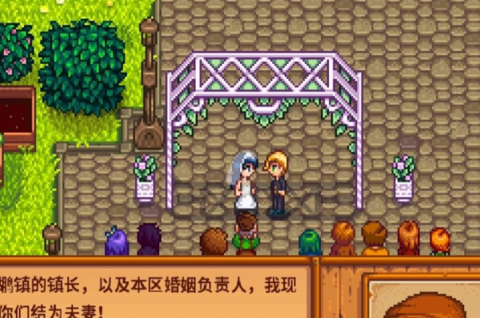 星露谷物语可以结婚的女性有哪些2