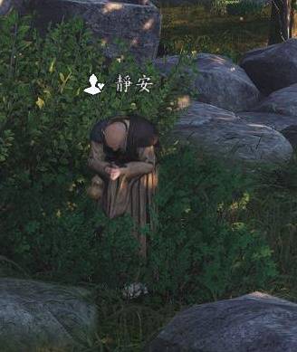 燕云十六声铁心甲怎么追溯2